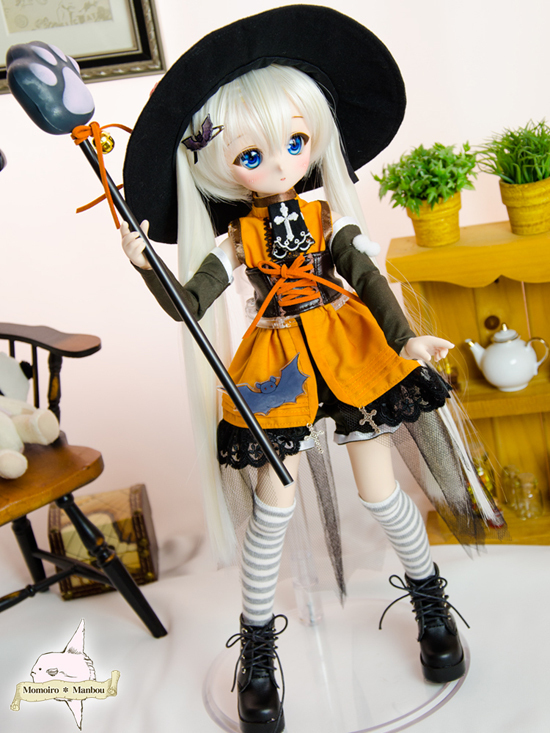 w40-1.jpg