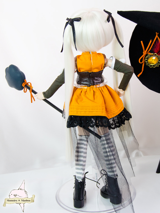 w40-2.jpg